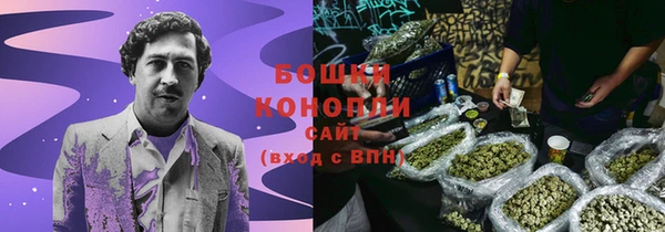 дмт Осташков