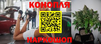 стафф Малоярославец