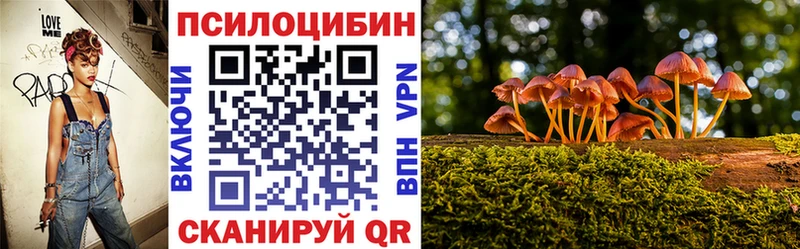 Галлюциногенные грибы Psilocybine cubensis Урай